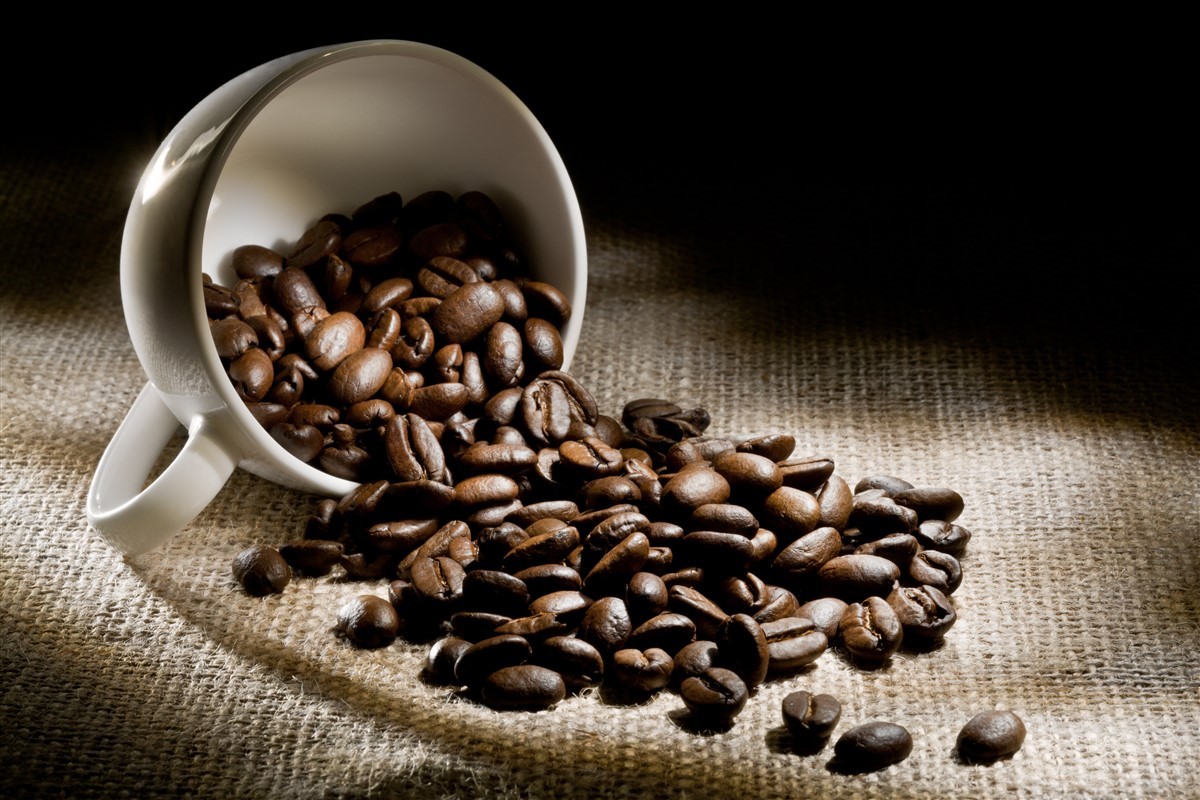Exportações brasileiras de café sobem pela 1ª vez em oito meses