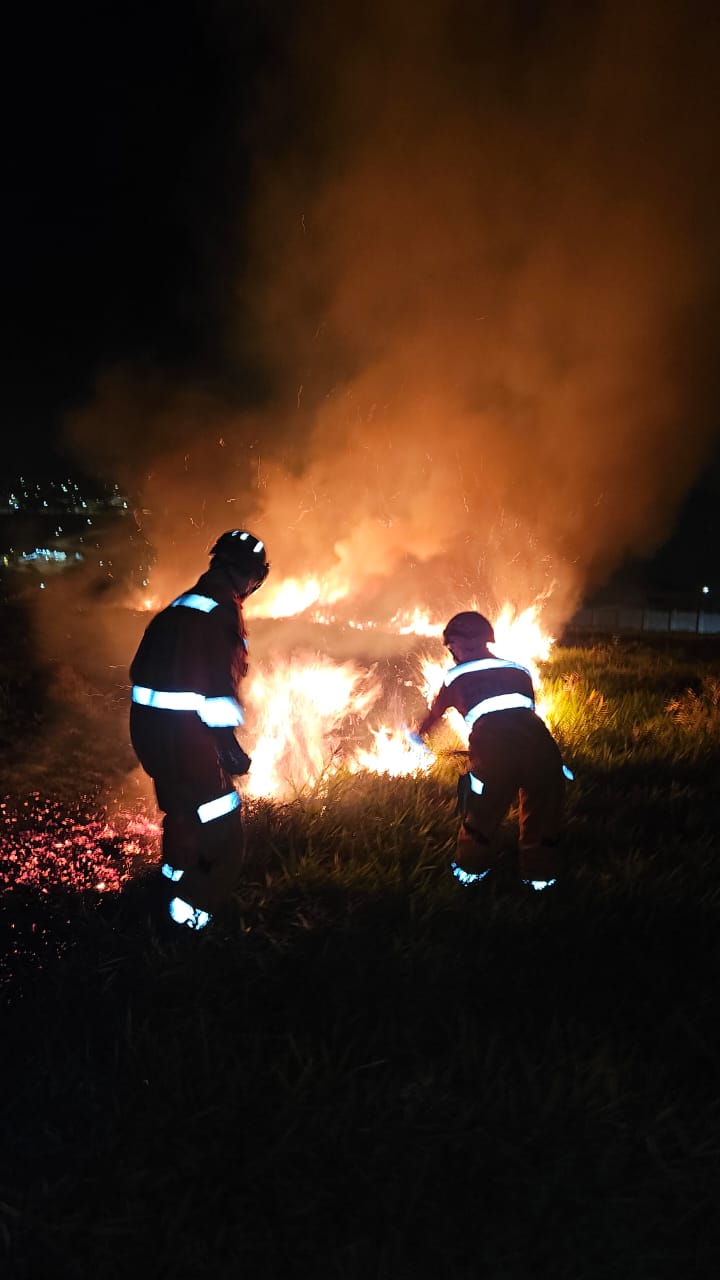 Incêndio em vegetação consome 3 hectares de fazenda em Alfenas